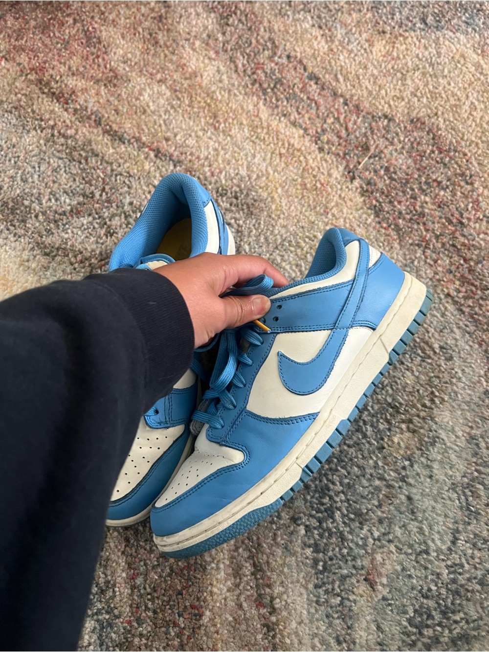 Dunks Low Coast Women’s 9.5